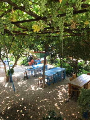 Senayablaevpansiyonculuk, Demre